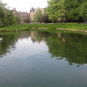 Meet your Posher, Fredy